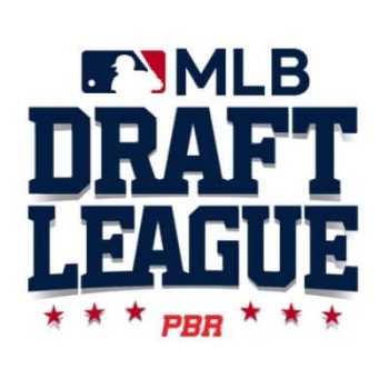 mlb-draft-league logo