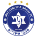 שעריים